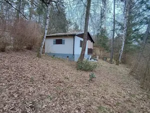 Prodej chaty, Újezd nade Mží, 33 m2