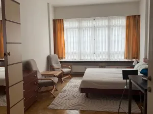 Pronájem bytu 1+1, Praha - Nové Město, Soukenická, 33 m2