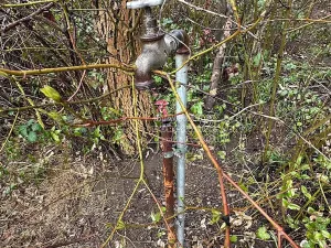 Prodej chaty, Brno, 22 m2