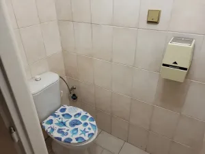 Pronájem bytu 2+kk, Ostrava - Slezská Ostrava, Bohumínská, 56 m2