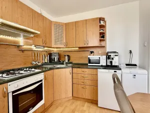 Prodej bytu 1+1, Ostrava - Mariánské Hory, Gen. Janka, 36 m2