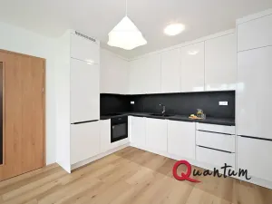 Pronájem bytu 2+kk, Praha - Kamýk, Hodkovická, 55 m2