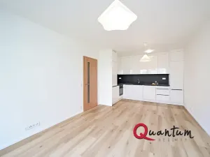 Pronájem bytu 2+kk, Praha - Kamýk, Hodkovická, 55 m2