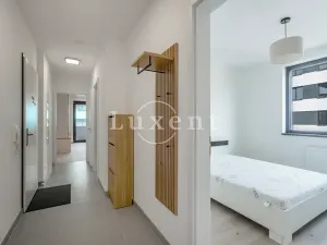 Pronájem bytu 3+kk, Praha - Žižkov, Olgy Havlové, 73 m2