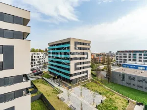 Pronájem bytu 3+kk, Praha - Žižkov, Olgy Havlové, 73 m2