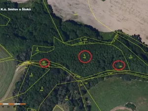 Prodej lesa, Štoky, 6941 m2
