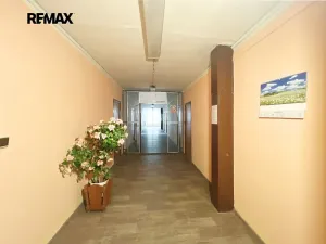 Prodej ubytování, Kraslice, Palackého, 1800 m2