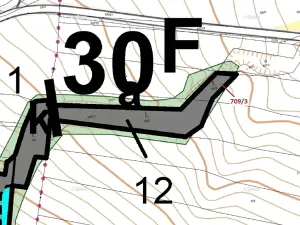 Dražba lesa, Osek, 301 m2
