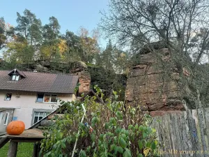 Prodej rodinného domu, Noviny pod Ralskem, 210 m2