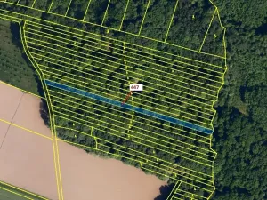 Dražba lesa, Hradčany-Kobeřice, 1989 m2