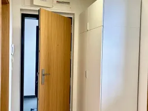 Pronájem bytu 1+kk, Praha - Holešovice, U průhonu, 38 m2