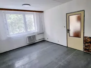 Pronájem bytu 1+1, Jihlava, Březinova, 33 m2