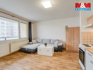 Pronájem bytu 1+kk, Plzeň - Severní Předměstí, Sokolovská, 27 m2
