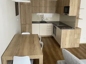 Pronájem bytu 2+kk, České Budějovice, Volejbalistů, 50 m2
