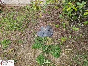 Prodej rodinného domu, Chlístovice, 80 m2