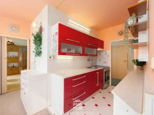 Prodej bytu 3+1, Velké Opatovice, Hliníky, 75 m2