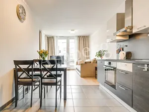 Prodej bytu 2+kk, Praha - Žižkov, Na Vackově, 53 m2