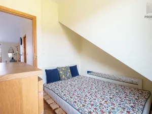 Prodej vícegeneračního domu, Brno, Otakara Ševčíka, 190 m2