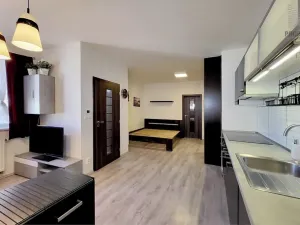 Prodej bytu 1+kk, Brno, Křenová, 32 m2