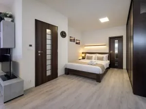 Prodej bytu 1+kk, Brno, Křenová, 32 m2