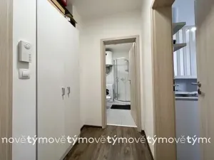 Pronájem bytu 1+kk, Pardubice, Na Okrouhlíku, 27 m2