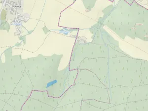 Prodej lesa, Kolinec - Buršice, 3423 m2