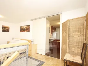 Pronájem bytu 2+kk, Praha - Vinohrady, Balbínova, 60 m2