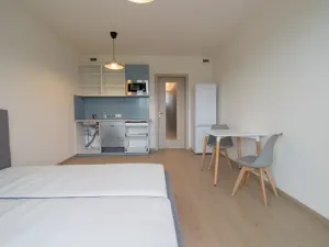 Pronájem bytu 1+kk, Praha - Třebonice, K metru, 32 m2