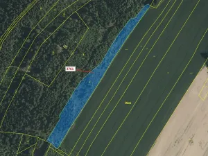 Dražba lesa, Strmilov, 9243 m2