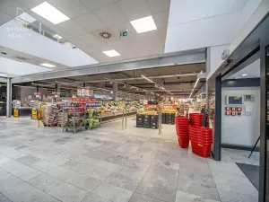 Prodej obchodního prostoru, Mladá Boleslav, Mileny Hážové, 4857 m2