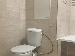 Pronájem bytu 2+1, Chomutov, Holešická, 62 m2