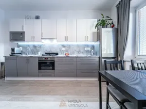 Pronájem bytu 2+kk, Brno, Burešova, 53 m2