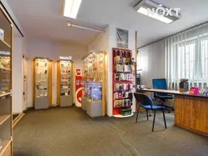 Prodej obchodního prostoru, Frýdlant nad Ostravicí, Komenského, 206 m2