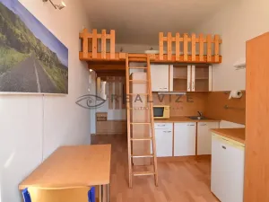 Pronájem bytu 1+kk, České Budějovice, Šumavská, 21 m2