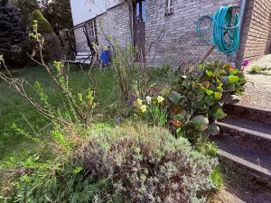 Pronájem rodinného domu, Praha - Braník, U dubu, 200 m2