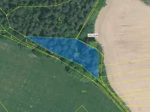 Dražba lesa, Milavče, 1643 m2