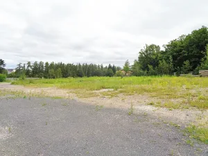 Prodej komerčního pozemku, Jesenice, Rekreační, 10738 m2