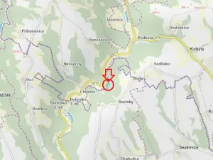 Prodej lesa, Chocnějovice, 2953 m2