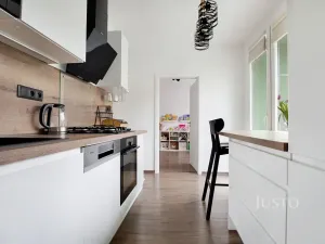 Prodej bytu 3+1, Ústí nad Labem, Kamenná, 65 m2