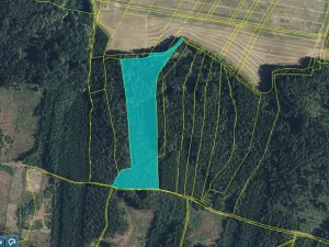 Prodej lesa, Mlázovice, 30813 m2