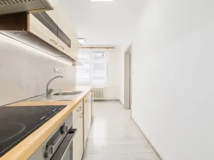 Prodej bytu 3+1, Veselí nad Lužnicí, Pod Markem, 62 m2