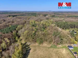 Prodej lesa, Sadská, 1964 m2