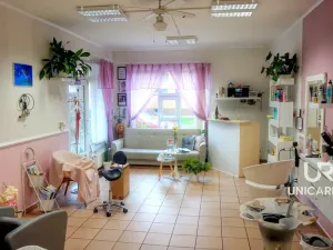 Prodej rodinného domu, Brno - Komín, Hlavní, 558 m2