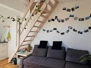 Pronájem bytu 2+kk, Brno - Černovice, Řehořova, 26 m2