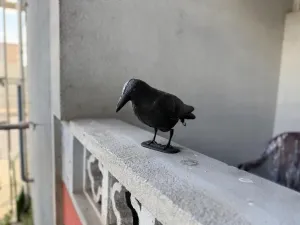 Pronájem bytu 3+1, Brno - Staré Brno, Poříčí, 81 m2