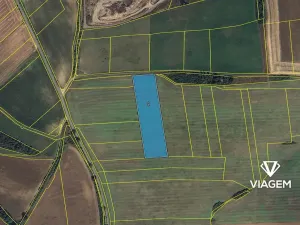 Prodej pole, Stašov, 8842 m2