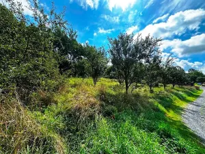 Prodej pozemku pro bydlení, Životice u Nového Jičína, 2065 m2