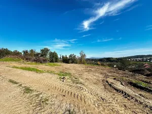 Prodej pozemku pro bydlení, Choryně, 733 m2