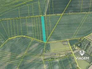 Prodej podílu pole, Zdounky, 912 m2