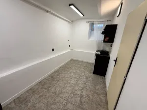 Pronájem komerční nemovitosti, Brno, Zborovská, 69 m2